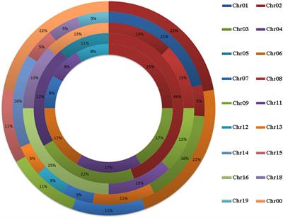 Comparative Genomic Analysis of the GRF Genes in Chinese Pear (Pyrus bretschneideri Rehd), Poplar (Populous), Grape (Vitis vinifera), Arabidopsis and Rice (Oryza sativa)